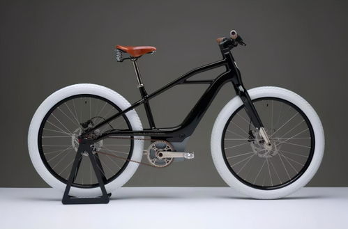 摩企哈雷入局電動車,產(chǎn)品曝光后,網(wǎng)友 太像二八自行車了